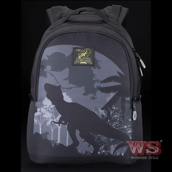 Рюкзак Winner / SkyName 90-122 молодіжний