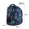 Рюкзак GoPack Teens GO24-162M-2
