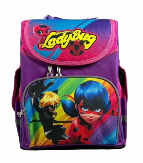 Рюкзак Leader 989161 Lady Bug короб ортопед 34х26х15см